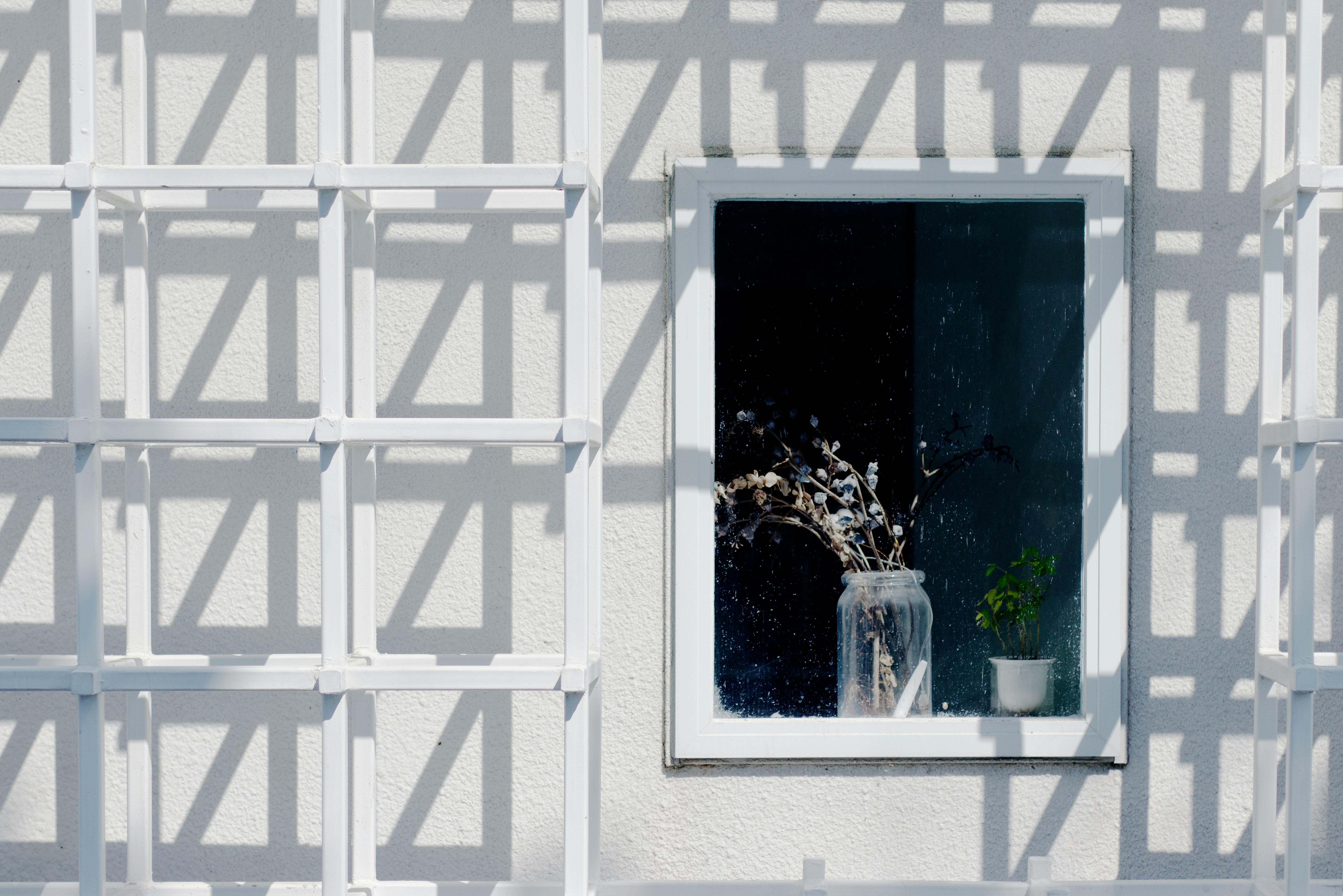 white flowers in clear glass vase near open window